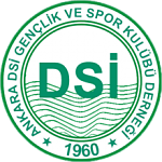 Ankara D.S.I.